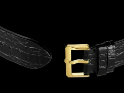 Captain Cook x Marina Hoermanseder Heartbeat*Rado Hot