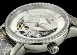 DiaMaster Prajun*Rado